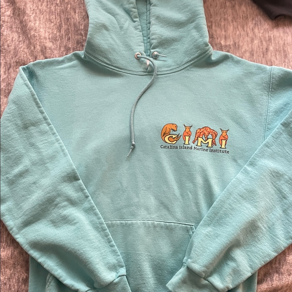 Jerzees Teal Hoodie